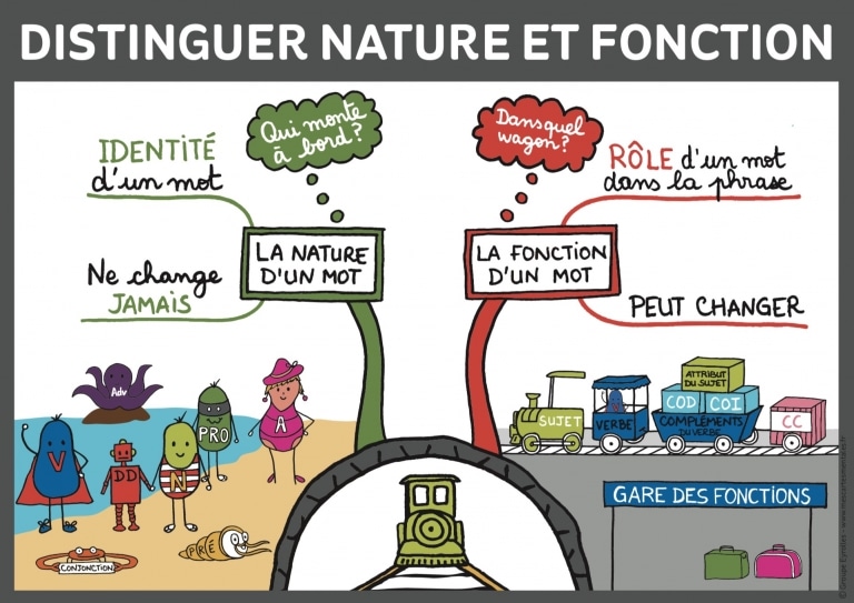 Nature Et Fonction Grammaticales Mes Cartes Mentales